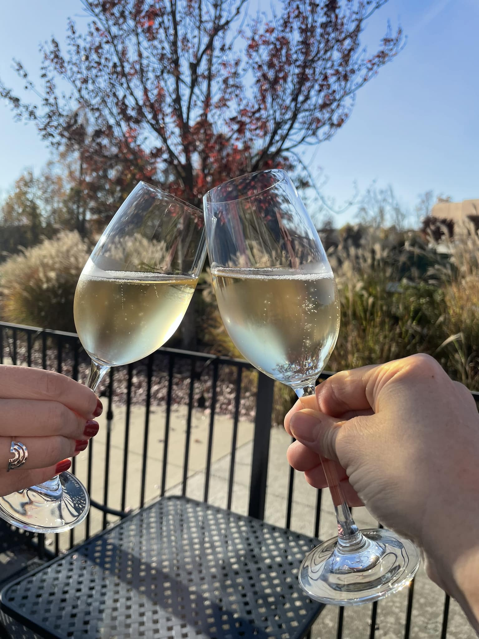 314492352_795525281845179_6498915435653789065_n